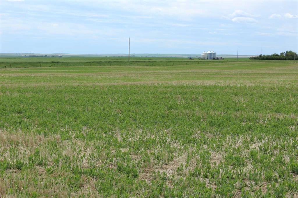 Rr 262, Rural Vulcan County, AB
