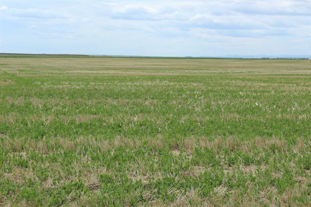 Rr 262, Rural Vulcan County, AB