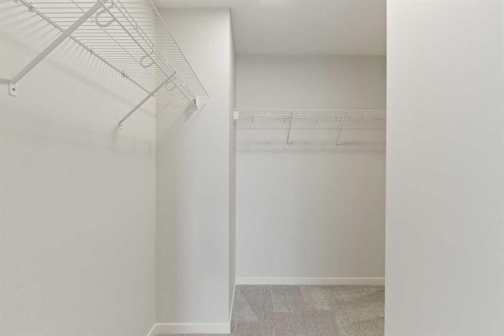 53 Snowberry Common Se, Calgary, AB - Indoor With Storage