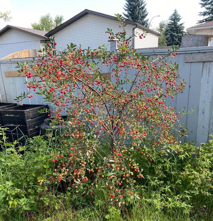 1019 Lysander Drive Se, Calgary, AB