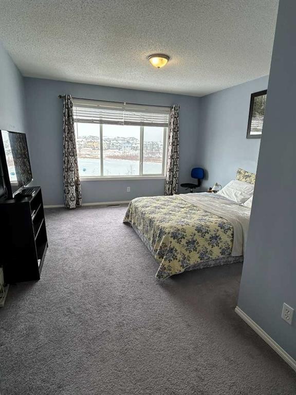 234 Saddlecreek Point Ne, Calgary, AB