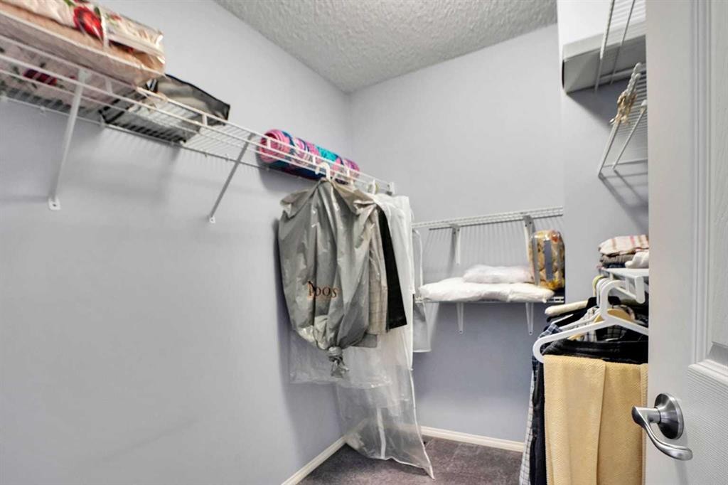 234 Saddlecreek Point Ne, Calgary, AB