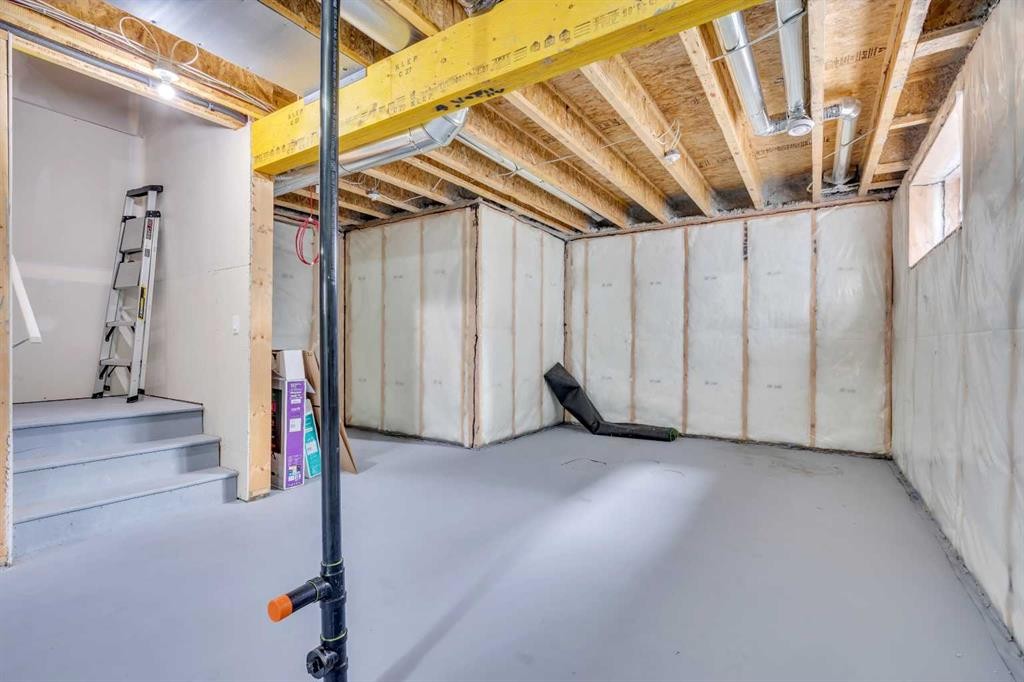 52 Red Embers Manor Ne, Calgary, AB - Indoor Photo Showing Basement