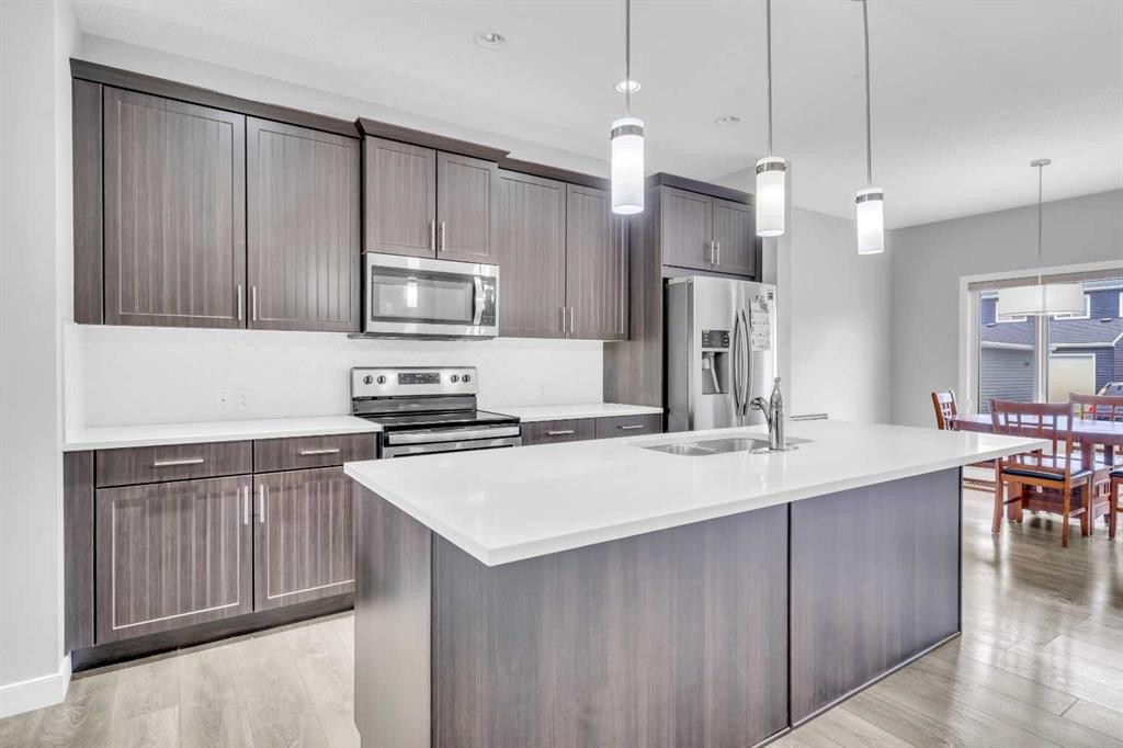 52 Red Embers Manor Ne, Calgary, AB - Indoor Photo Showing Kitchen With Double Sink With Upgraded Kitchen