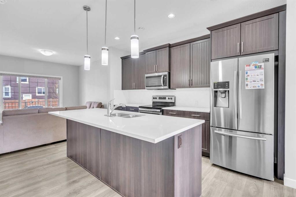 52 Red Embers Manor Ne, Calgary, AB - Indoor Photo Showing Kitchen With Double Sink With Upgraded Kitchen