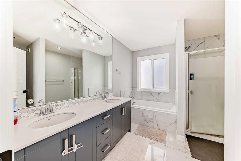 123 Red Sky Crescent Ne, Calgary, AB - Indoor Photo Showing Bathroom