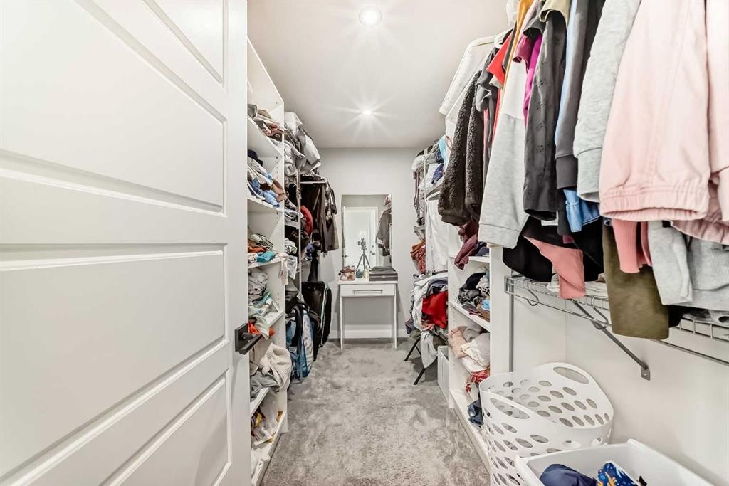 123 Red Sky Crescent Ne, Calgary, AB - Indoor With Storage