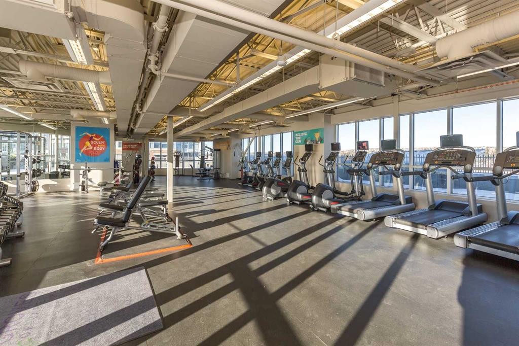 810-16 Varsity Estates Circle Nw, Calgary, AB - Indoor Photo Showing Gym Room