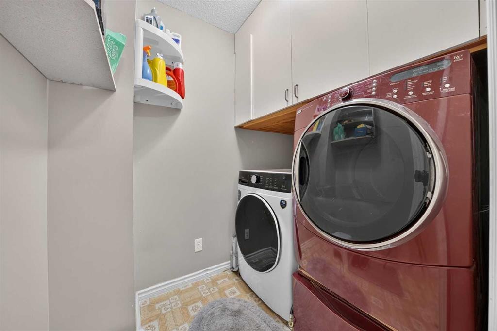 202 Silverado Range Place Sw, Calgary, AB - Indoor Photo Showing Laundry Room