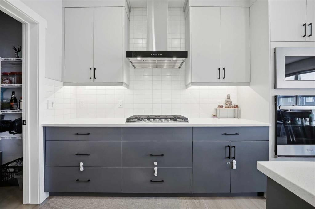 241 Homestead Crescent Ne, Calgary, AB - Indoor Photo Showing Kitchen With Upgraded Kitchen
