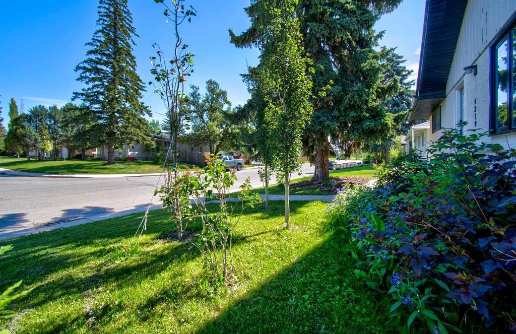 4319 Greenview Drive Ne, Calgary, AB - Outdoor