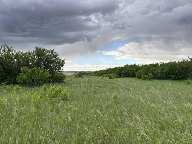 164, Rural Vulcan County, AB