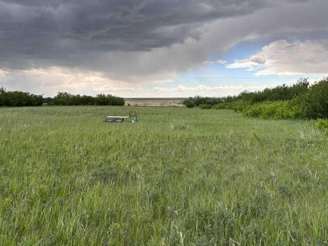 164, Rural Vulcan County, AB