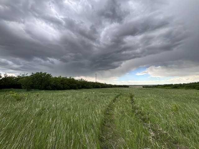 164, Rural Vulcan County, AB