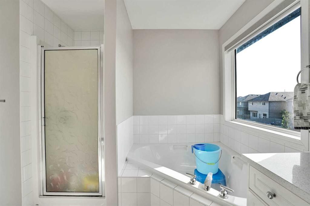 151 Saddlehorn Close Ne, Calgary, AB - Indoor Photo Showing Bathroom