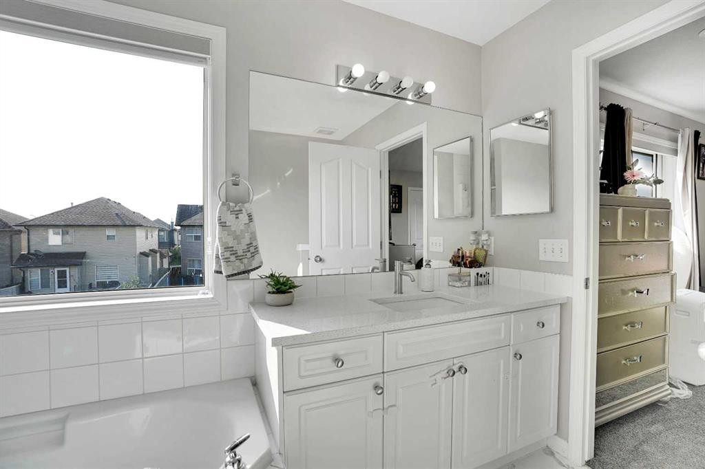 151 Saddlehorn Close Ne, Calgary, AB - Indoor Photo Showing Bathroom
