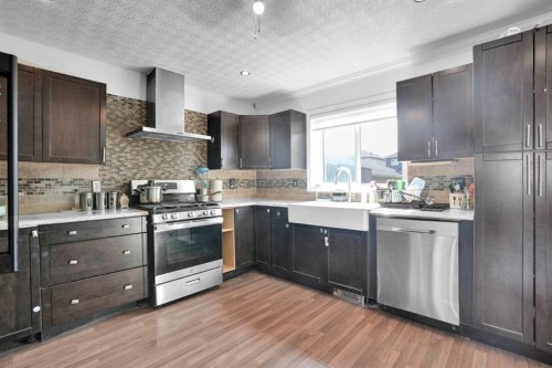 156 Saddlecrest Place Ne, Calgary, AB - Indoor Photo Showing Kitchen With Upgraded Kitchen