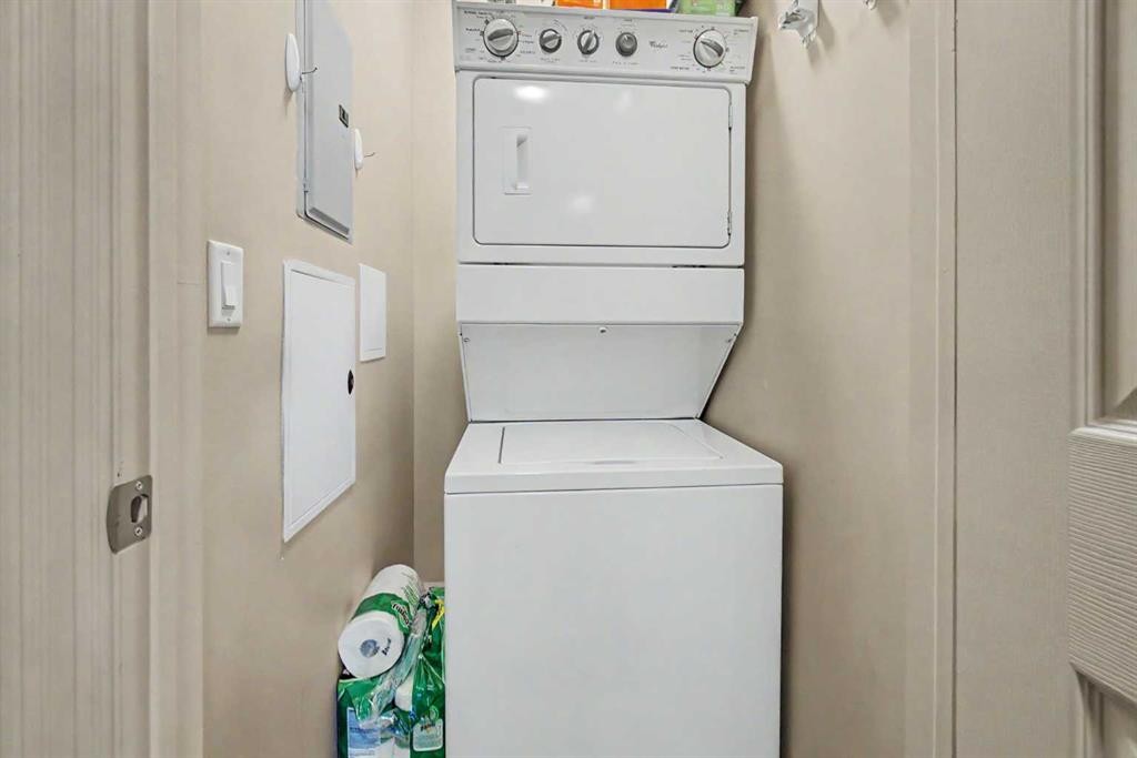 415-263 Macewan Road, Edmonton, AB - Indoor Photo Showing Laundry Room