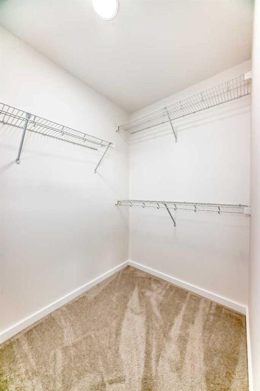 12 Savanna Place Ne, Calgary, AB - Indoor With Storage
