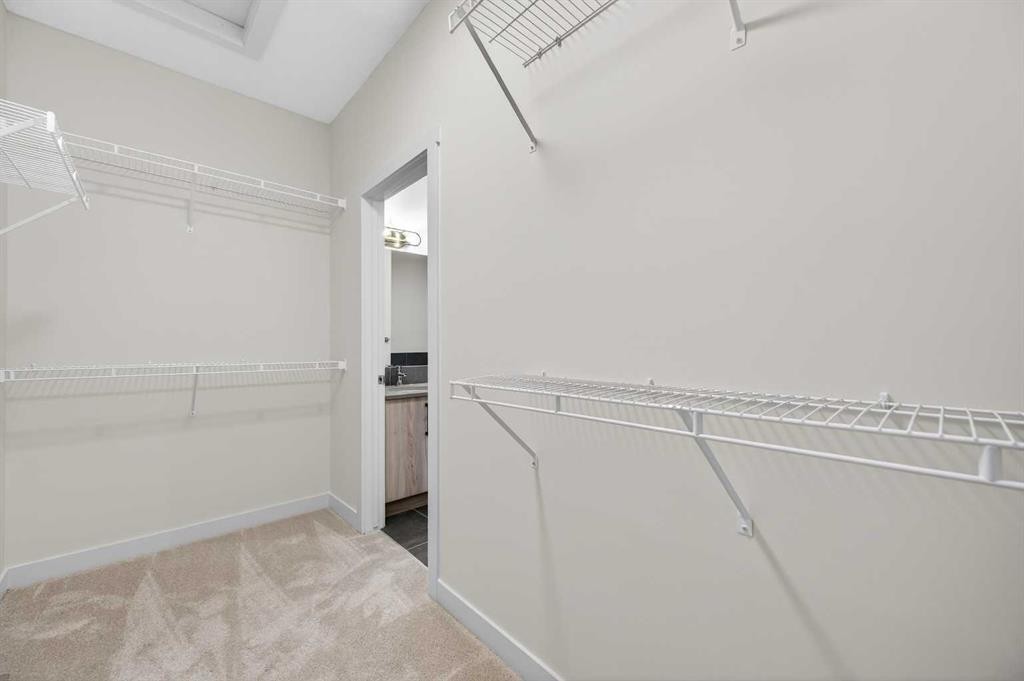 277 Waterford Way, Chestermere, AB - Indoor With Storage