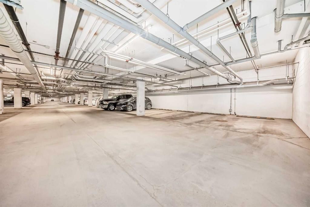 215-20 Seton Park Se, Calgary, AB - Indoor Photo Showing Garage