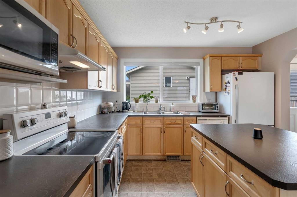 91 Saddlebrook Way Ne, Calgary, AB - Indoor Photo Showing Kitchen With Double Sink