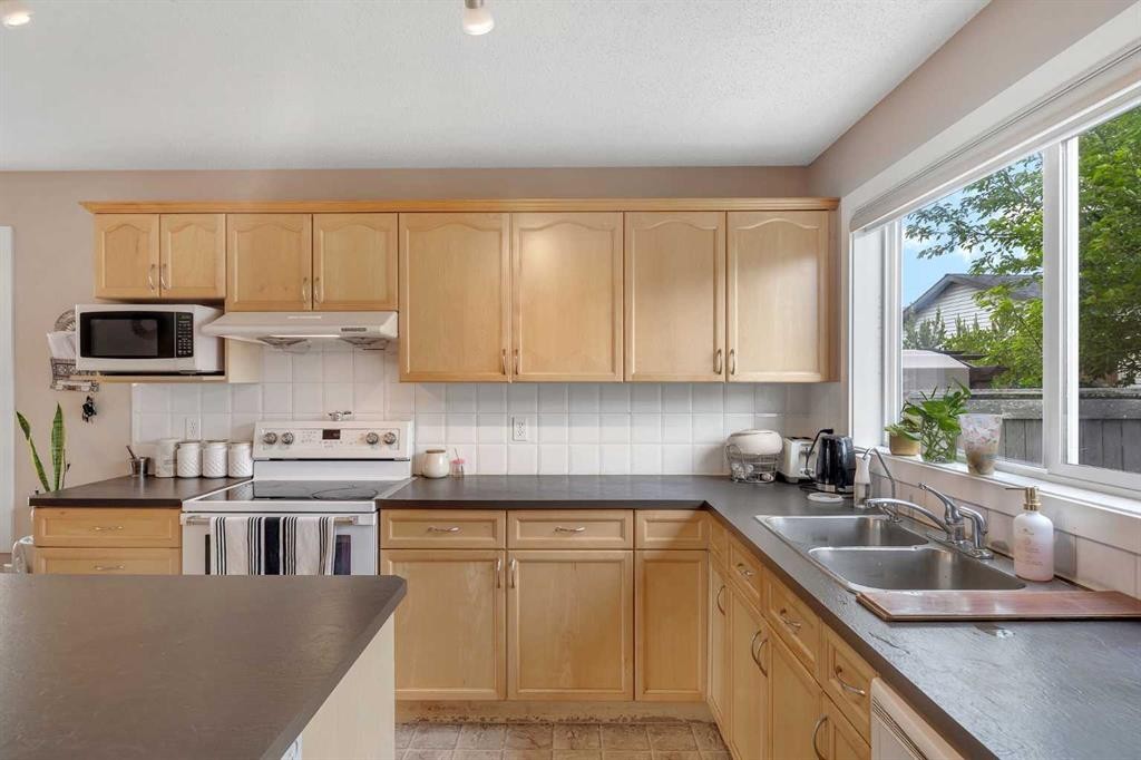 91 Saddlebrook Way Ne, Calgary, AB - Indoor Photo Showing Kitchen With Double Sink