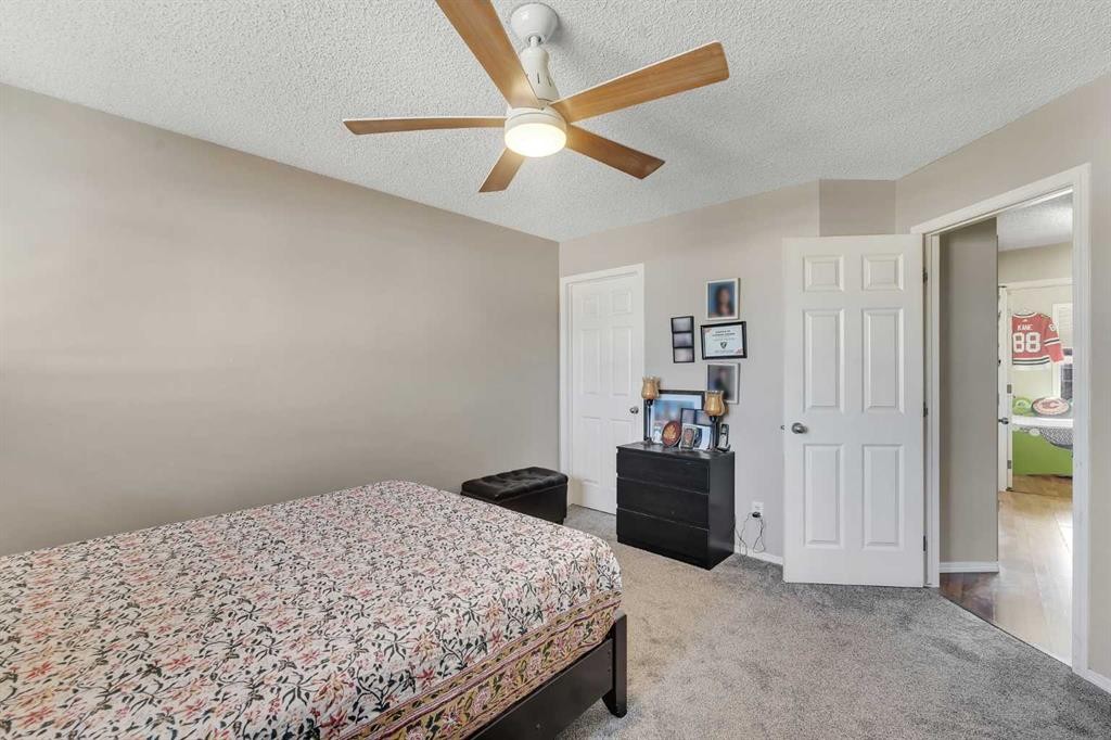 33 Saddlebrook Common Ne, Calgary, AB