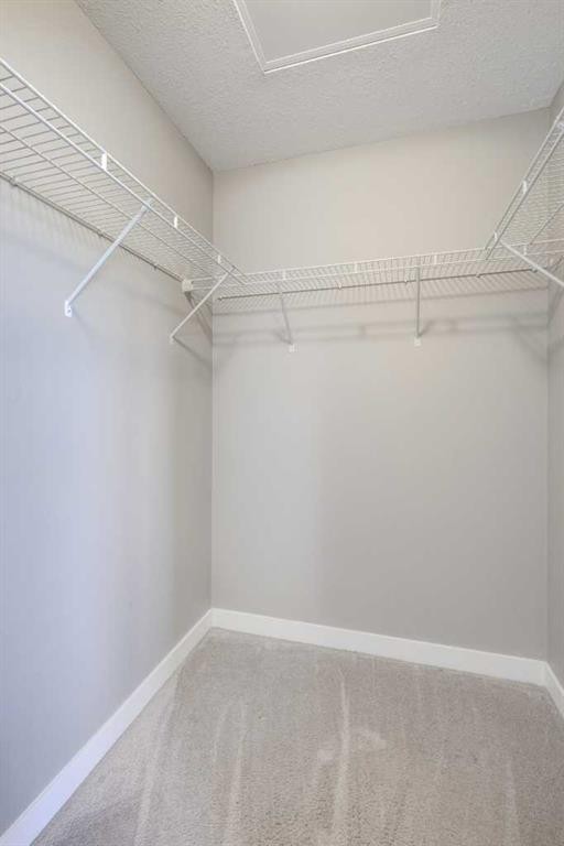 249 Ranch Ridge Meadow, Strathmore, AB - Indoor With Storage