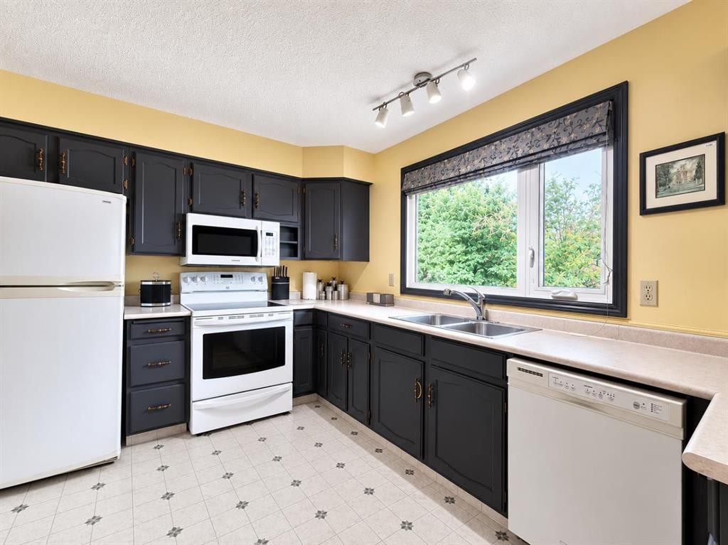 3135 60 Street Ne, Calgary, AB - Indoor Photo Showing Kitchen With Double Sink