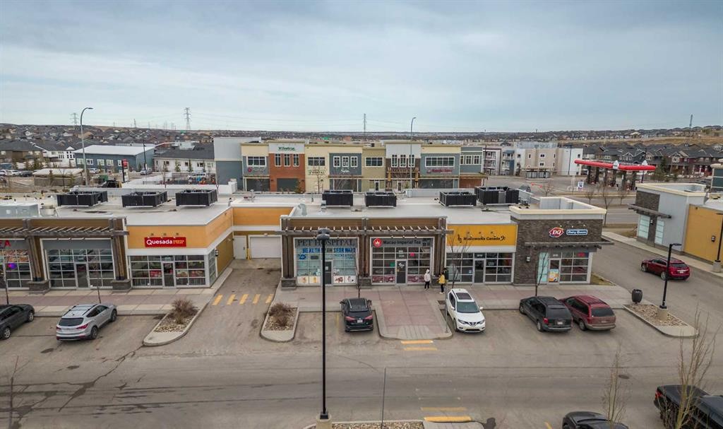 58 Evansview Road Nw, Calgary, AB - Outdoor With View