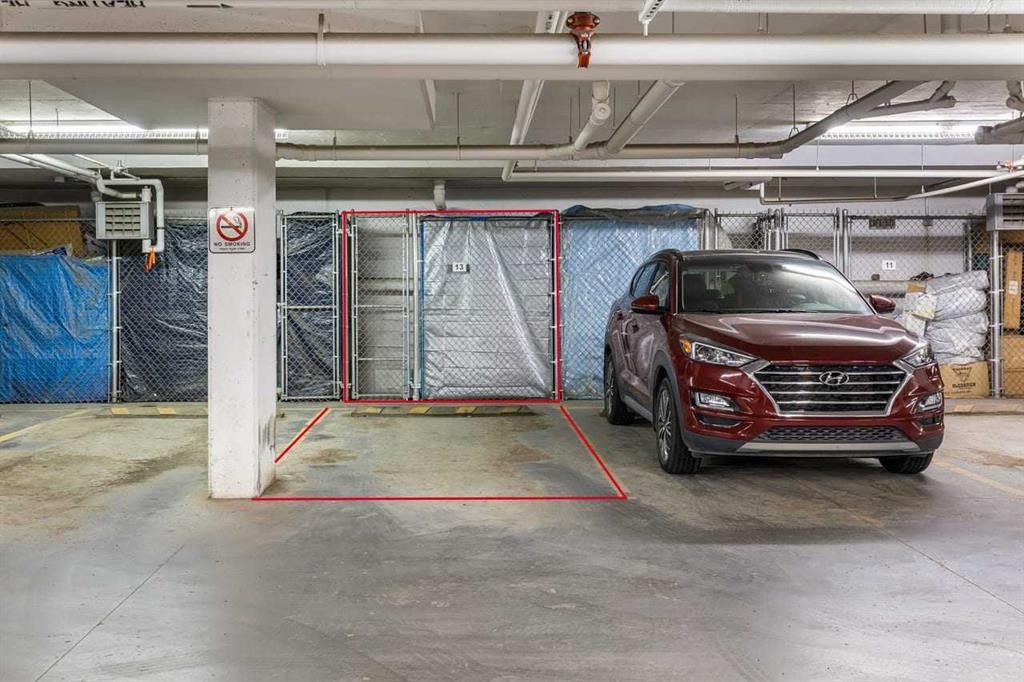 3308-155 Skyview Ranch Way Ne, Calgary, AB - Indoor Photo Showing Garage