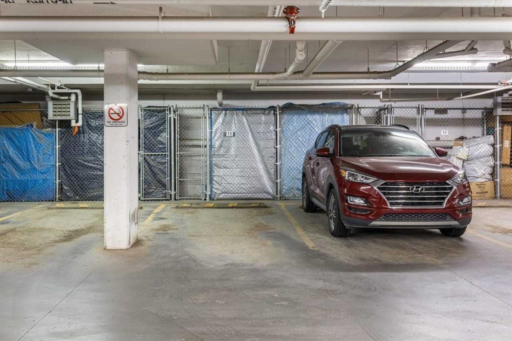 3308-155 Skyview Ranch Way Ne, Calgary, AB - Indoor Photo Showing Garage