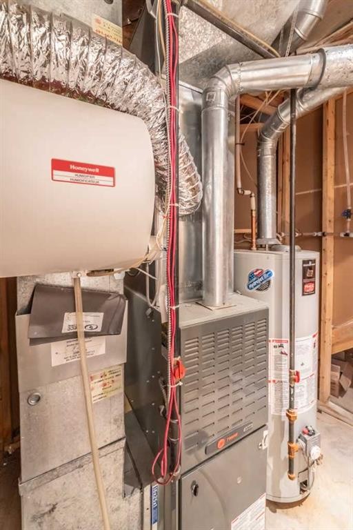 203 Coville Close Ne, Calgary, AB - Indoor Photo Showing Basement