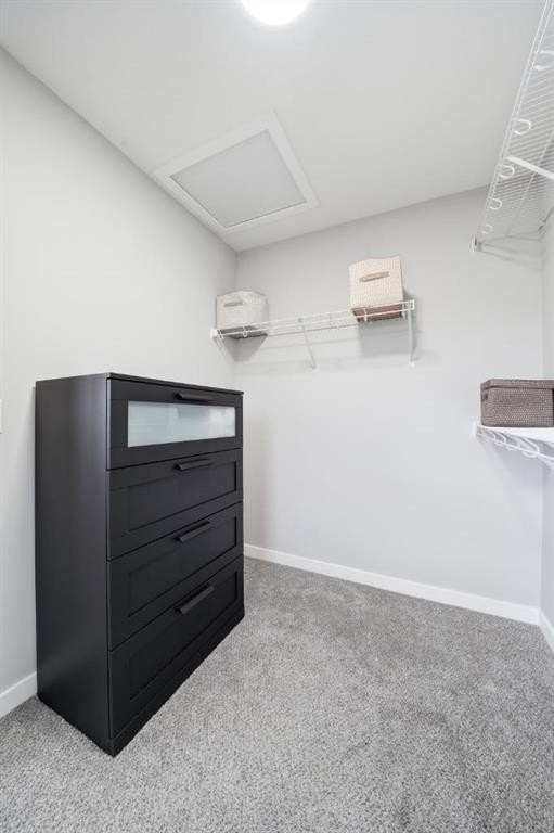 623 Savanna Crescent Ne, Calgary, AB - Indoor