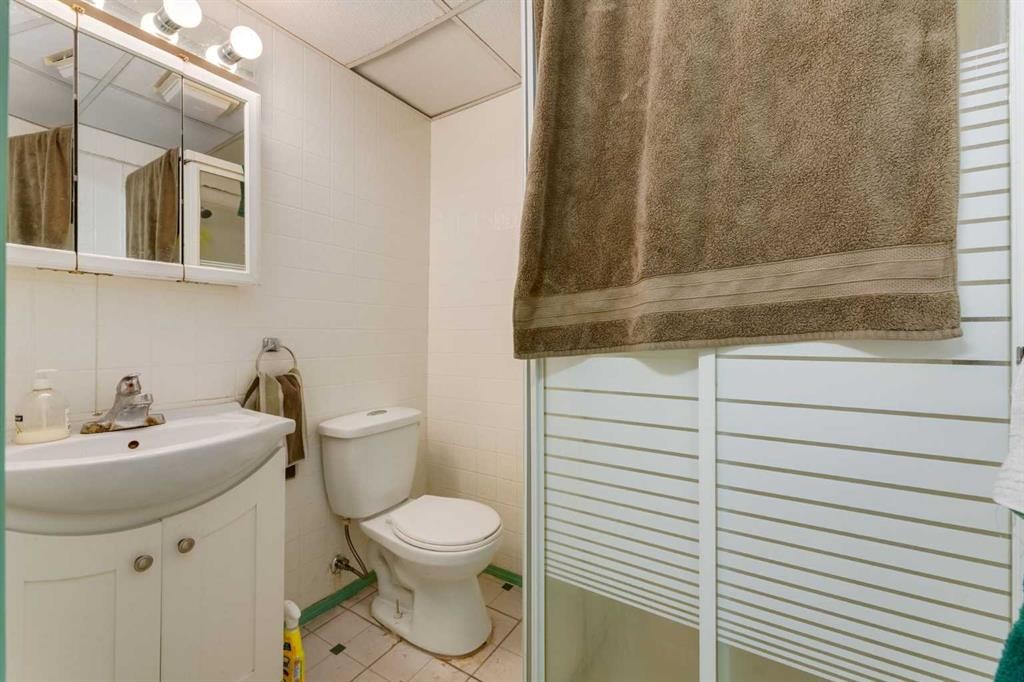 228 Maple Court Crescent Se, Calgary, AB - Indoor Photo Showing Bathroom