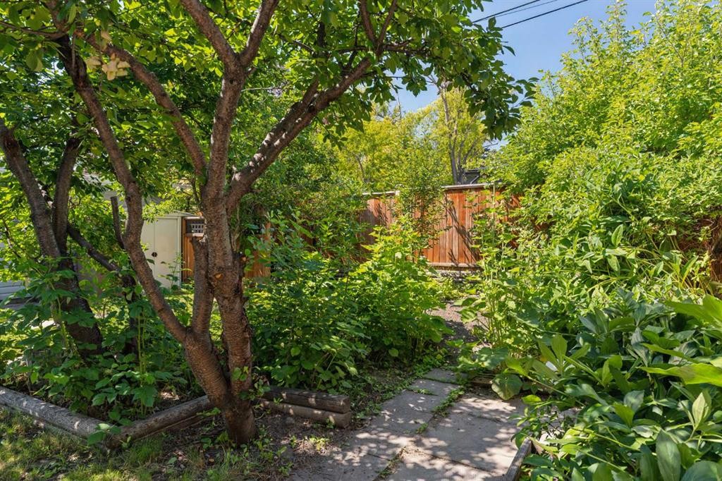 5919 Thornton Road Nw, Calgary, AB - Outdoor