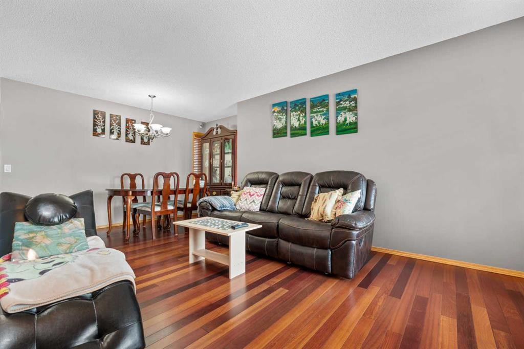 47 Coral Springs Close Ne, Calgary, AB - Indoor Photo Showing Living Room