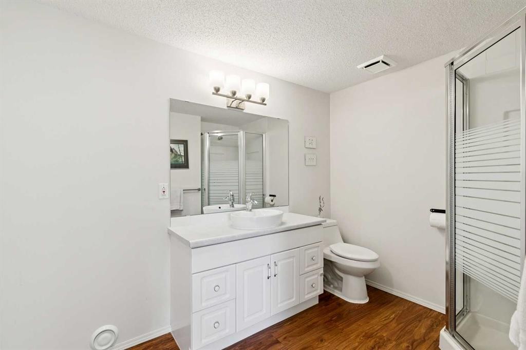 98 River Rock Way Se, Calgary, AB - Indoor Photo Showing Bathroom