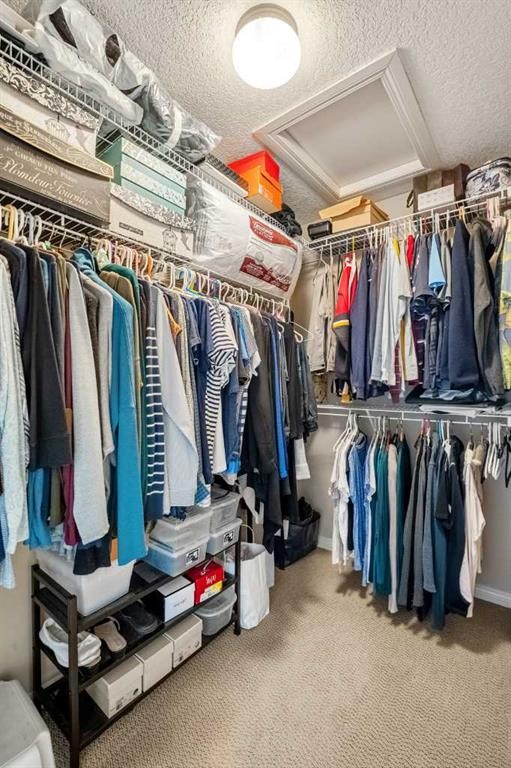 50 Springborough Crescent Sw, Calgary, AB - Indoor With Storage