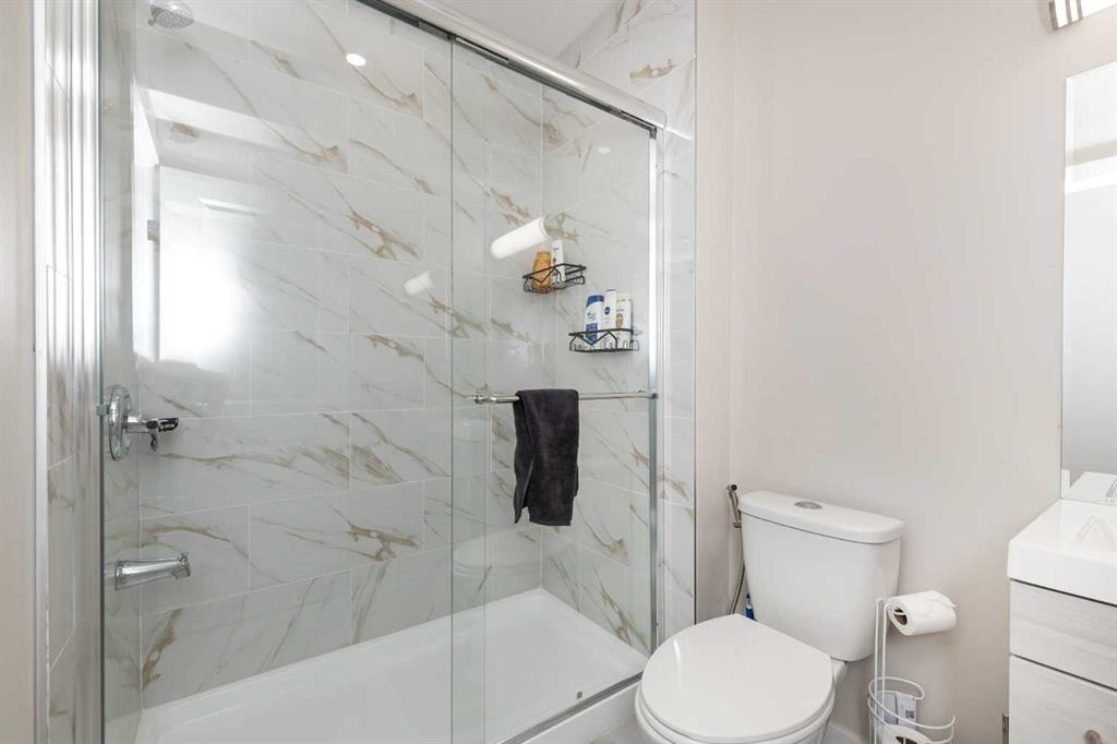 161 Red Sky Way Ne, Calgary, AB - Indoor Photo Showing Bathroom