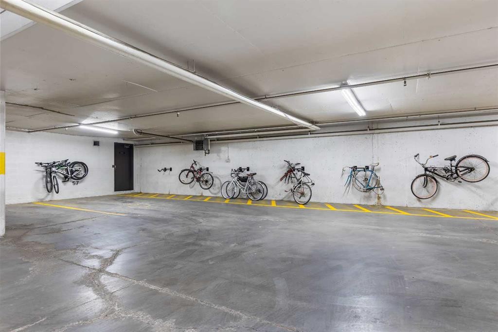 405-880 Centre Avenue Ne, Calgary, AB - Indoor Photo Showing Garage
