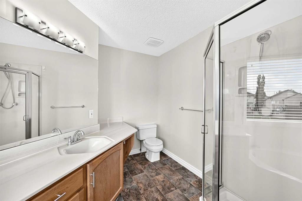 247 Covington Close Ne, Calgary, AB - Indoor Photo Showing Bathroom