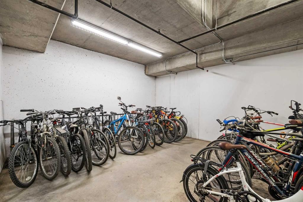 5208-14 Hemlock Crescent Sw, Calgary, AB - Indoor Photo Showing Garage