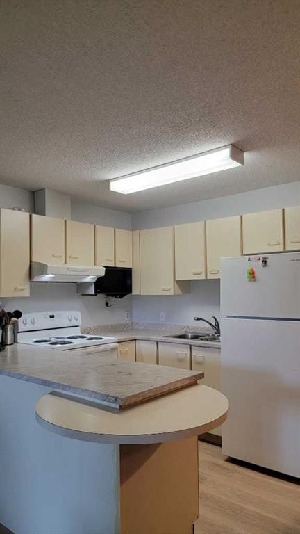 13-2000 Edenwold Heights Nw, Calgary, AB - Indoor Photo Showing Kitchen