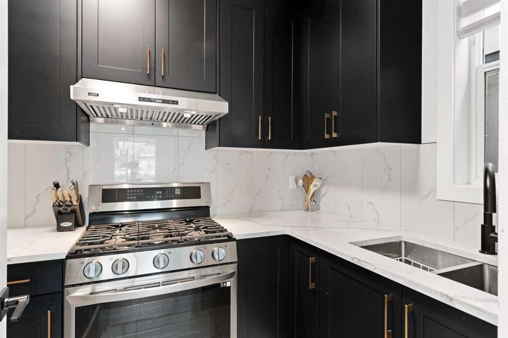 4524 87 Avenue Ne, Calgary, AB - Indoor Photo Showing Kitchen With Double Sink