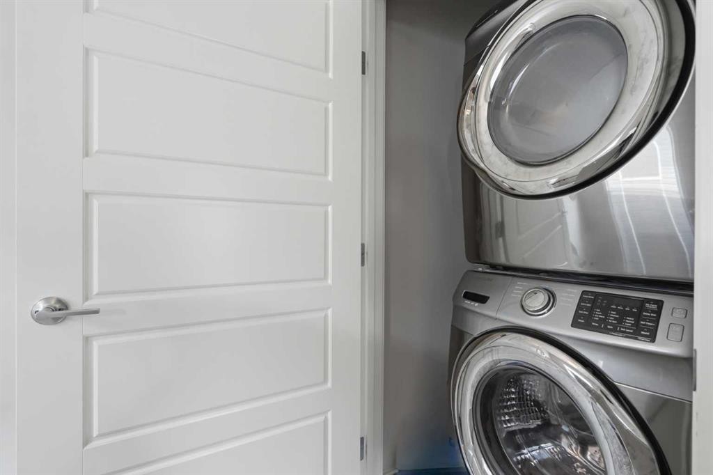 190 Saddlelake Way Ne, Calgary, AB - Indoor Photo Showing Laundry Room