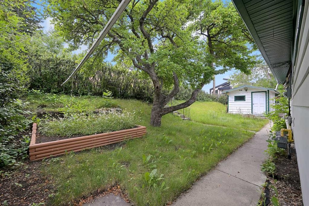 1415 Rosehill Drive Nw, Calgary, AB - Outdoor