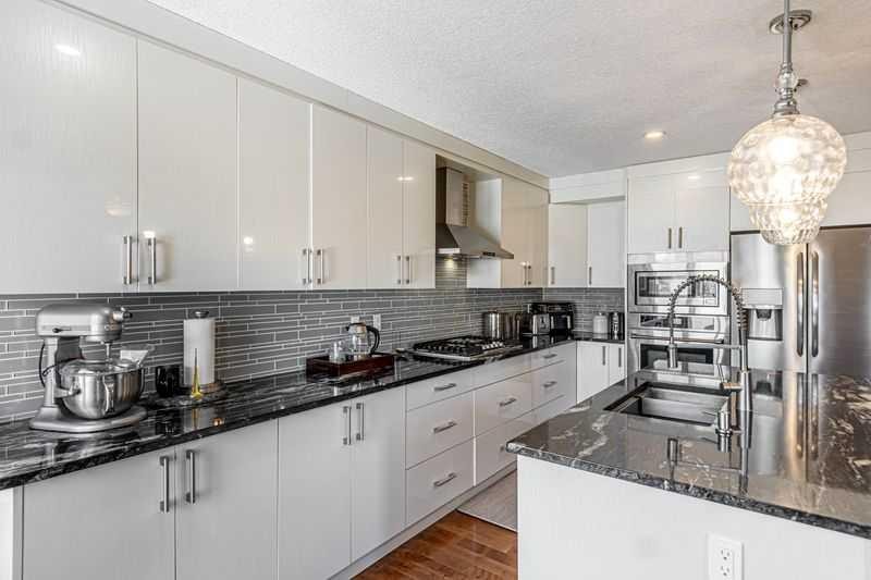 8389 Saddleridge Drive Ne, Calgary, AB - Indoor Photo Showing Kitchen With Upgraded Kitchen