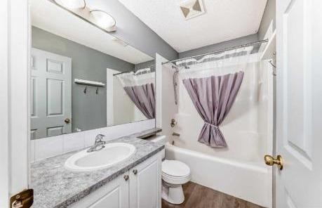 202 Saddlemead Green Ne, Calgary, AB - Indoor Photo Showing Bathroom